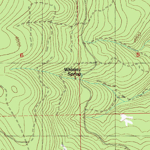 Topographic Map of Whiskey Spring, OR