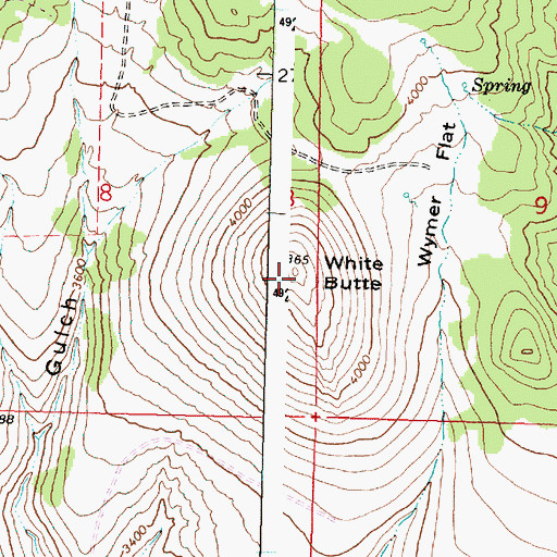 Topographic Map of White Butte, OR