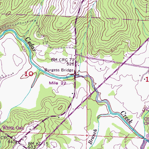 Topographic Map of Burgess Bridge, AL