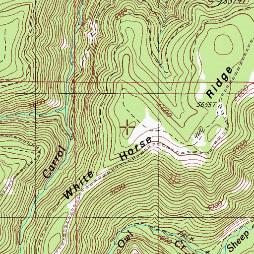 Topographic Map of White Horse Ridge, OR
