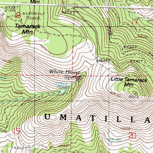 Topographic Map of White House Spring, OR