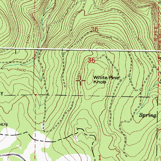 Topographic Map of White Pine Knob, OR