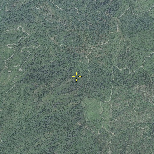 Aerial/Satellite Image of White Rock Mountain, OR