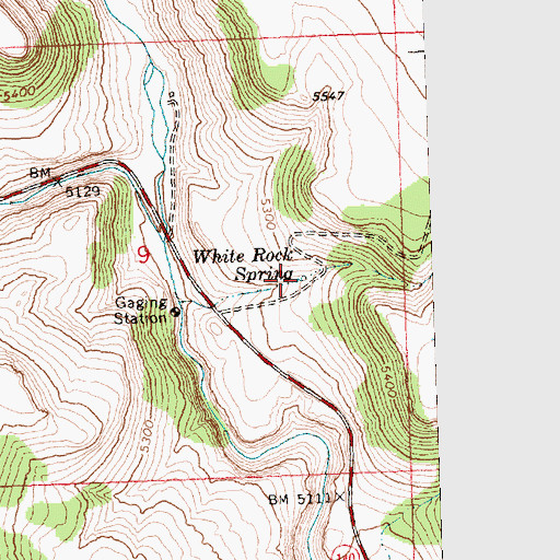 Topographic Map of White Rock Spring, OR