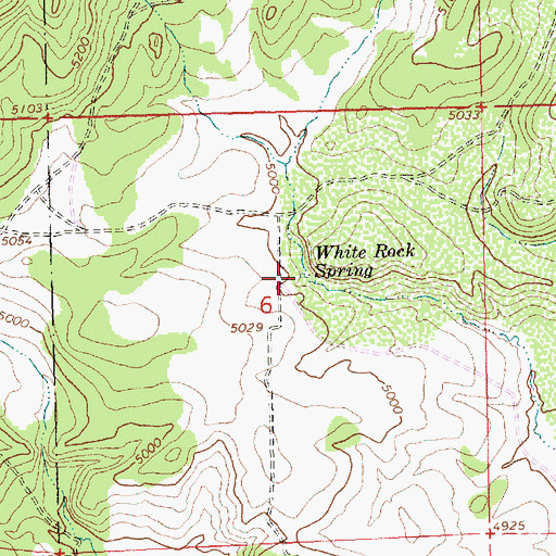 Topographic Map of White Rock Spring, OR