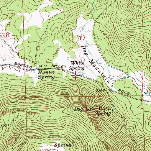 Topographic Map of White Spring, OR