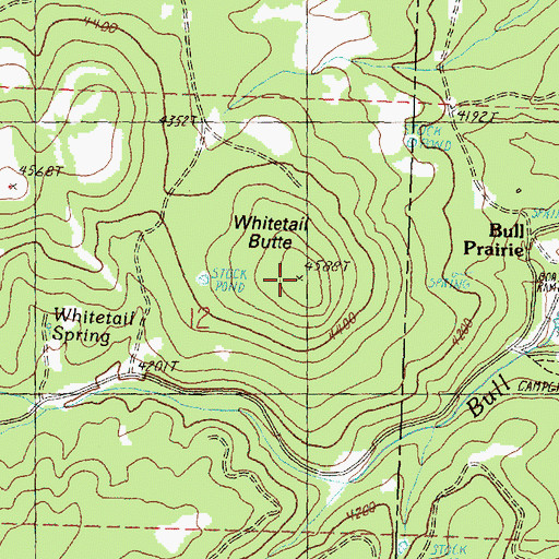 Topographic Map of Whitetail Butte, OR