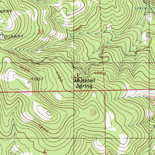 Topographic Map of Whitetail Spring, OR