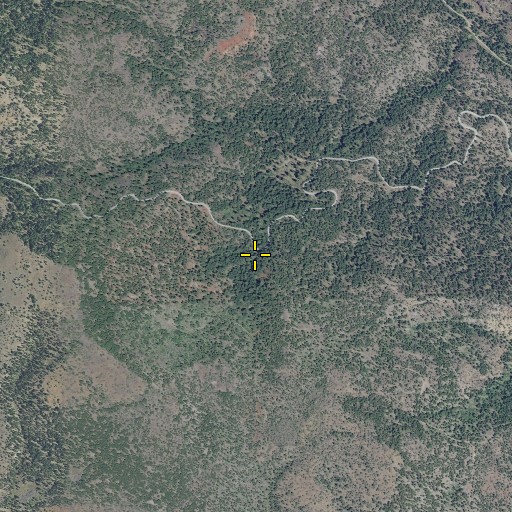 Aerial/Satellite Image of Whitetail Spring, OR