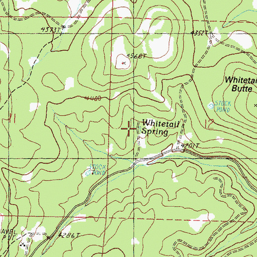 Topographic Map of Whitetail Spring, OR