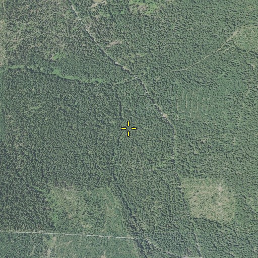 Aerial/Satellite Image of Whitman Creek, OR