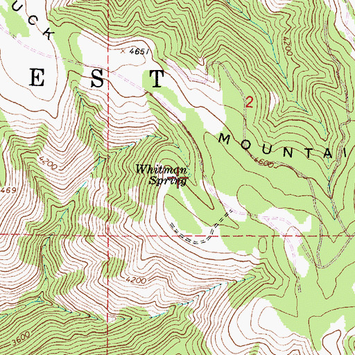 Topographic Map of Whitman Spring, OR