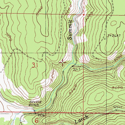 Topographic Map of Wickiup Creek, OR