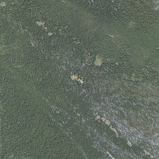 Aerial/Satellite Image of Wickiup Meadow, OR