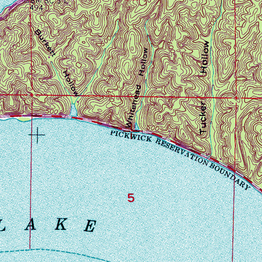 Topographic Map of Burkett Hollow, AL