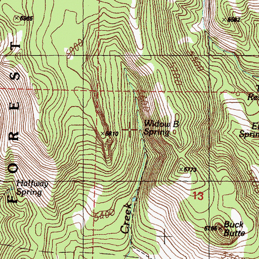Topographic Map of Widow B Spring, OR