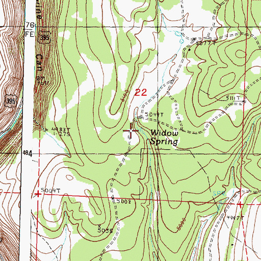 Topographic Map of Widow Spring, OR