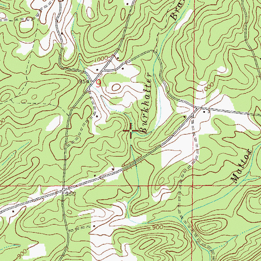 Topographic Map of Burkhalter Branch, AL