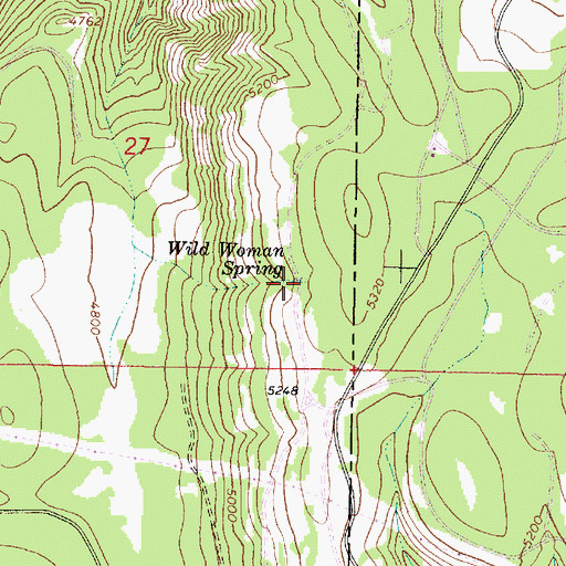 Topographic Map of Wild Woman Spring, OR
