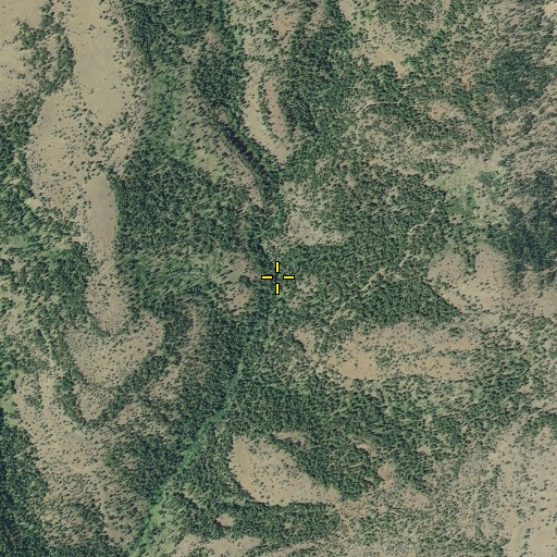 Aerial/Satellite Image of Wildcat Creek, OR