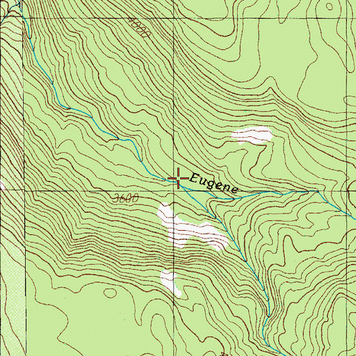 Topographic Map of Wildcat Creek, OR