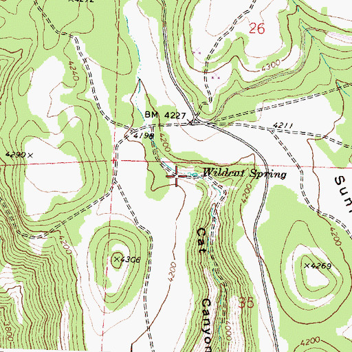 Topographic Map of Wildcat Spring, OR