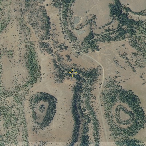 Aerial/Satellite Image of Wildcat Spring, OR