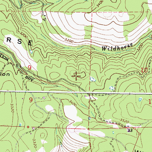 Topographic Map of Wildhorse Mountain, OR