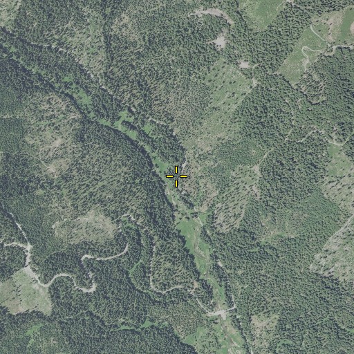 Aerial/Satellite Image of Wiley Creek, OR