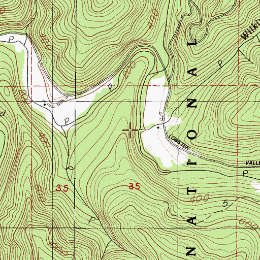Topographic Map of Wilkinson Creek, OR