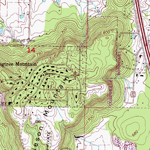 Topographic Map of Burleson Mountain, AL
