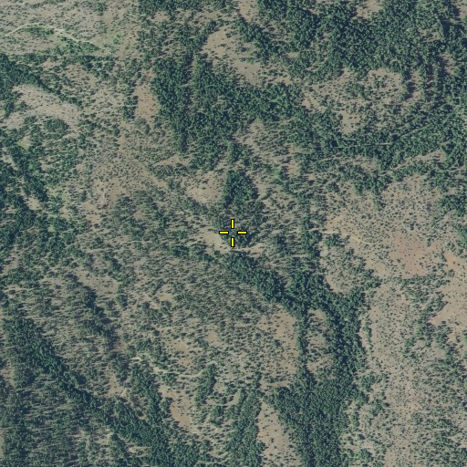 Aerial/Satellite Image of Willow Spring, OR