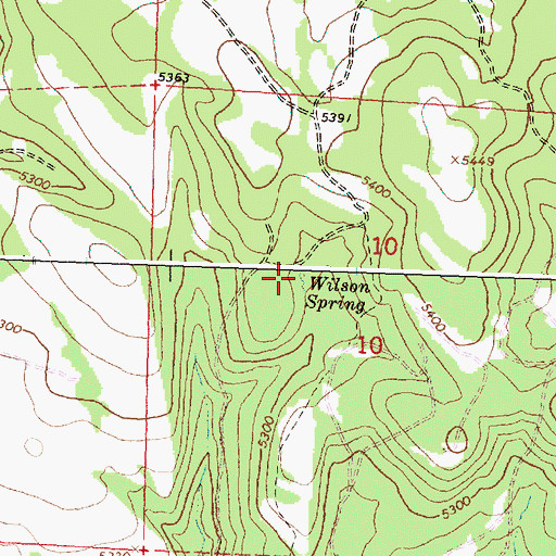 Topographic Map of Wilson Spring, OR