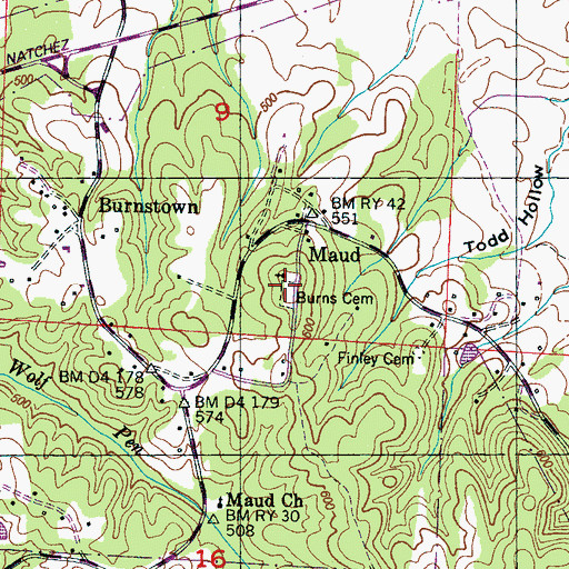 Topographic Map of Burns Cemetery, AL
