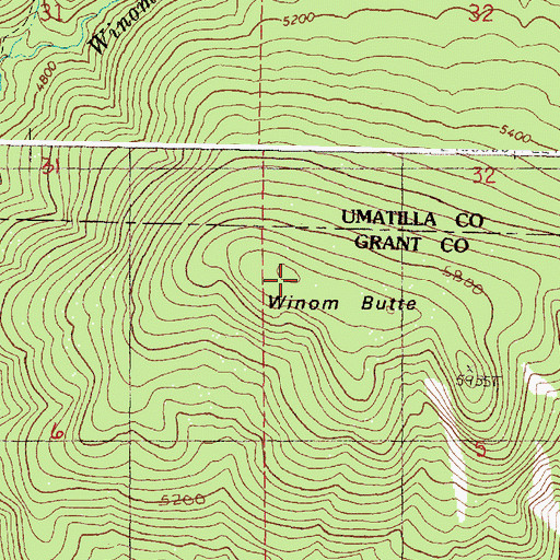 Topographic Map of Winom Butte, OR