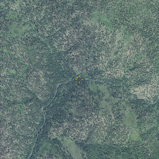 Aerial/Satellite Image of Winom Creek, OR