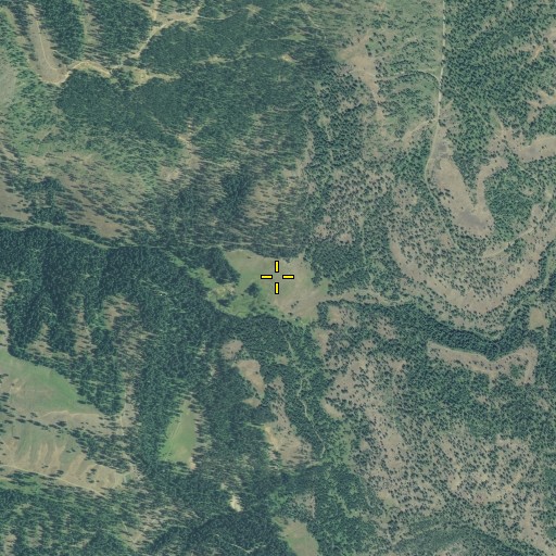 Aerial/Satellite Image of Wise Meadow, OR