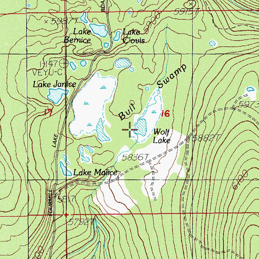 Topographic Map of Wolf Lake, OR