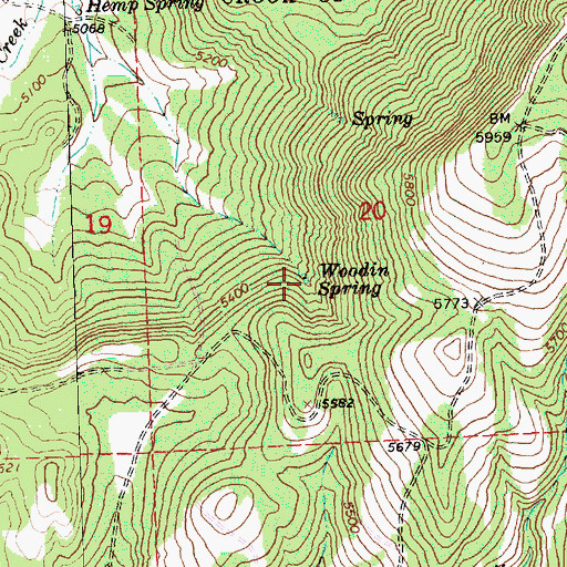 Topographic Map of Woodin Spring, OR