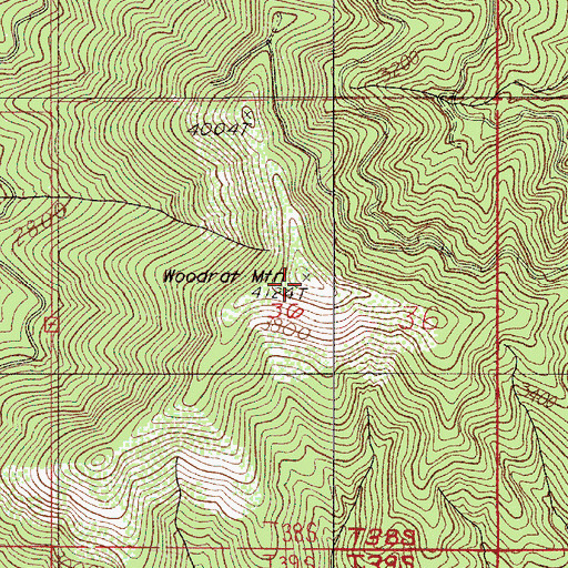 Topographic Map of Woodrat Mountain, OR