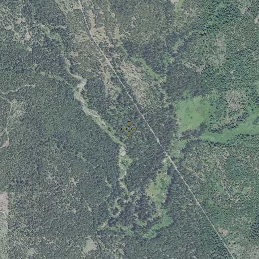 Aerial/Satellite Image of Woodruff Meadow, OR