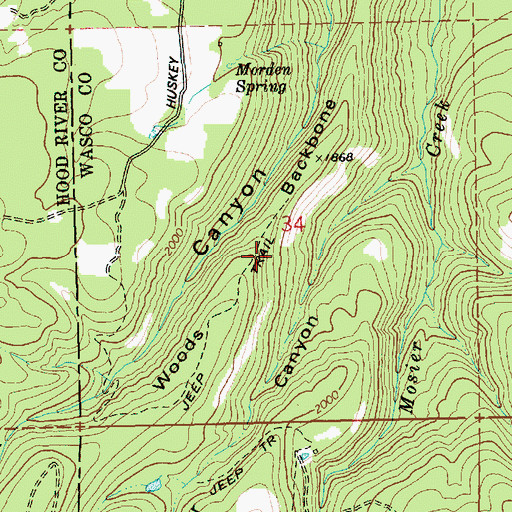 Topographic Map of Woods Backbone, OR