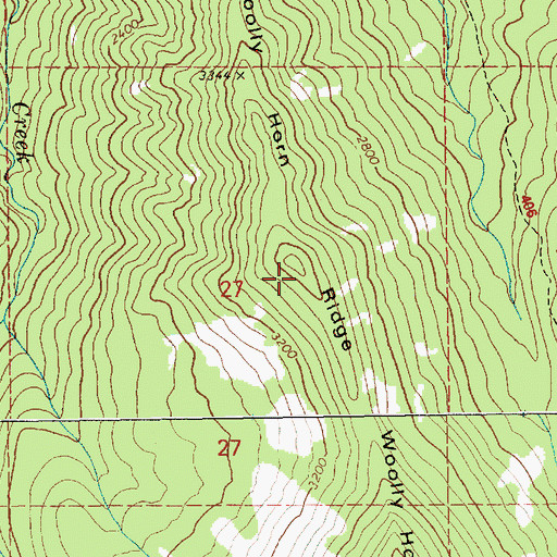 Topographic Map of Woolly Horn Ridge, OR