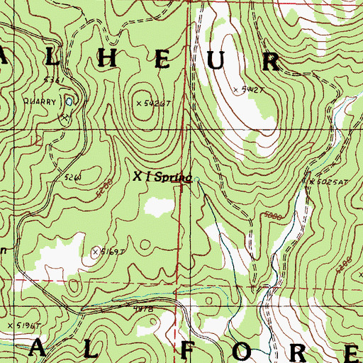 Topographic Map of XI Spring, OR