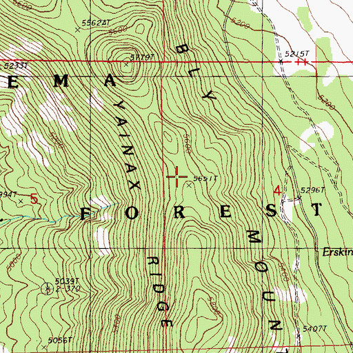 Topographic Map of Yainax Ridge, OR