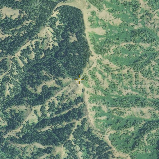 Aerial/Satellite Image of Yellow Jacket Point, OR