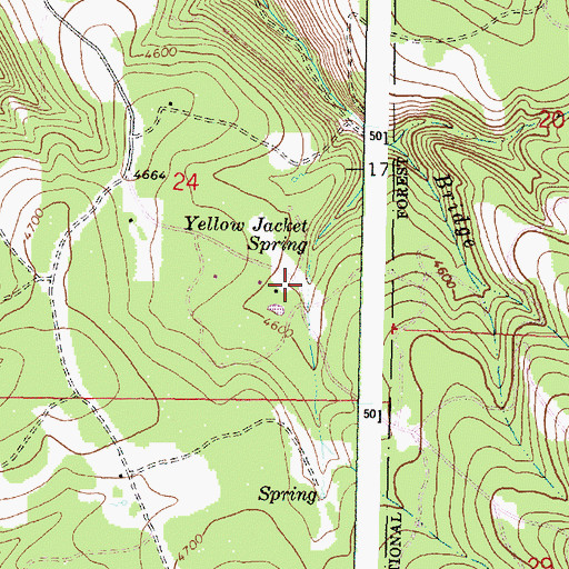 Topographic Map of Yellow Jacket Spring, OR