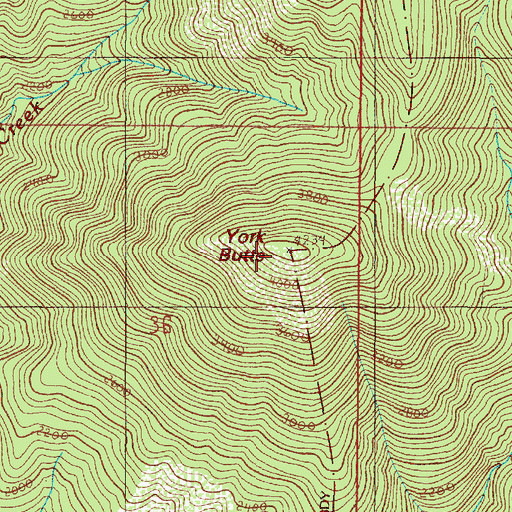 Topographic Map of York Butte, OR