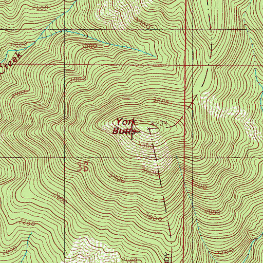 Topographic Map of York Butte, OR