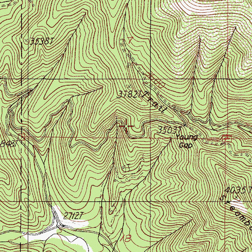 Topographic Map of Young Gap, OR